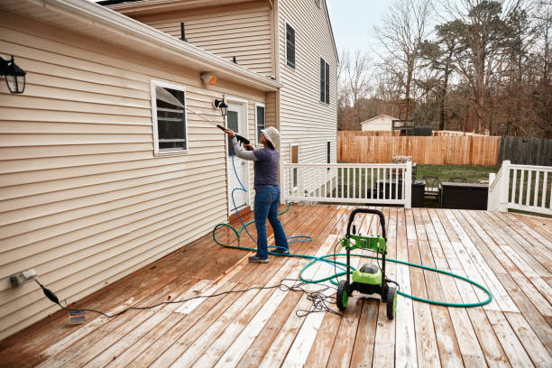 Best Affordable Pressure Washing  in Vine Grove, KY