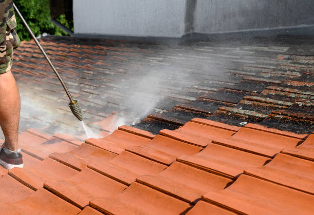 Best Affordable Power Washing  in Vine Grove, KY