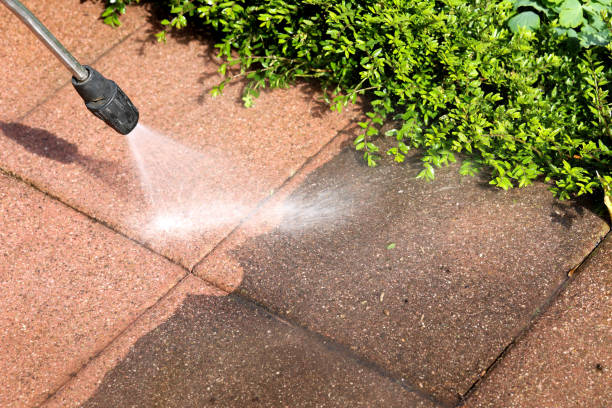 Best Pressure Washing Near Me  in Vine Grove, KY