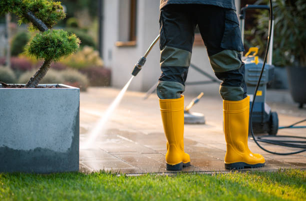 Best Best Pressure Washing Companies  in Vine Grove, KY